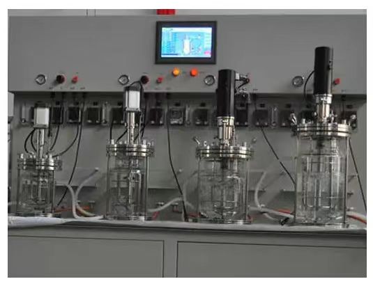 四級(jí)離位上攪拌玻璃發(fā)酵罐